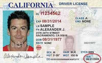 dade county drivers license check