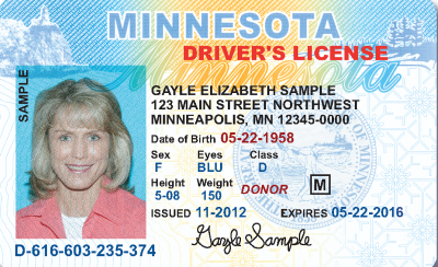 bus driver license