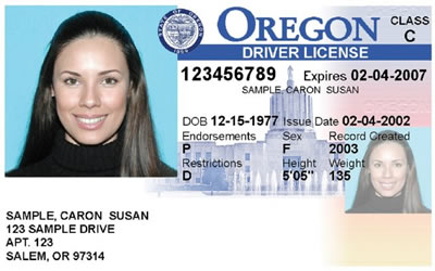 free oregon drivers license reverse side template